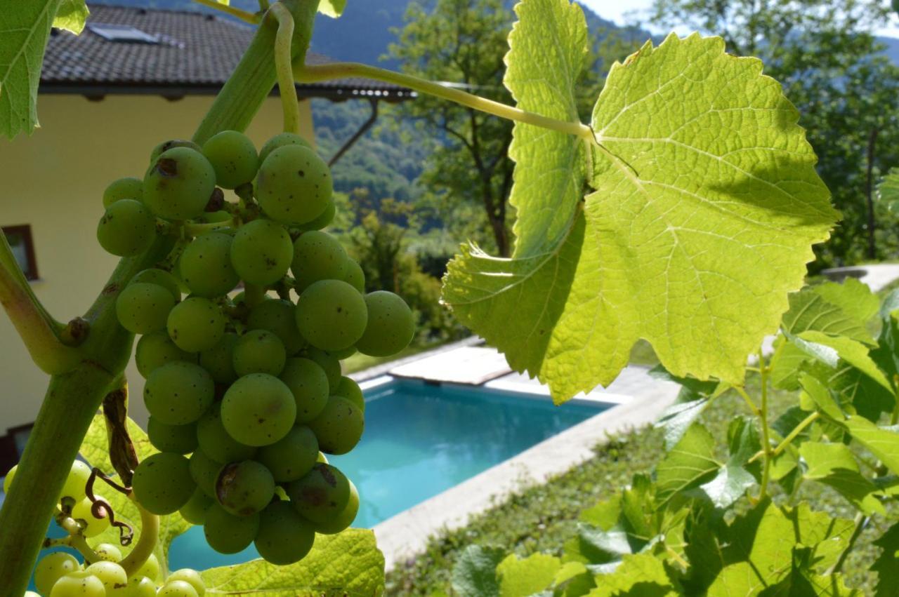 Holiday Home Jelovcerjeva Idrija pri Baci Eksteriør billede